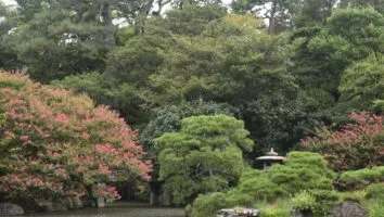Como escolher plantas ideais para um jardim duradouro