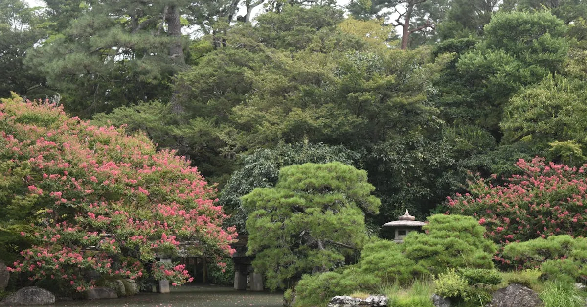 Como escolher plantas ideais para um jardim duradouro