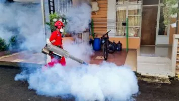 Descubra as Melhores Dedetizadoras em Minas Gerais Hoje!