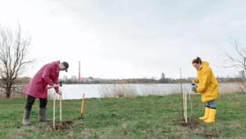 Descubra as Melhores Empresas de Jardinagem em Minas Gerais