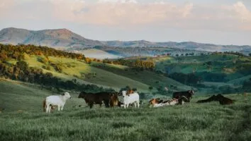 Descubra os melhores hotéis-fazenda em Minas Gerais