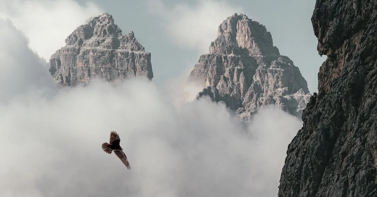 Descubra a altura dos picos mais altos de Minas Gerais