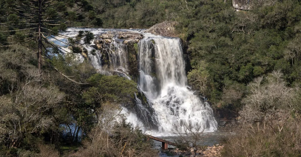 Cachoeiras de Minas Gerais: Descubra as Imperdíveis! Cachoeiras de Minas Gerais: Descubra as Imperdíveis!