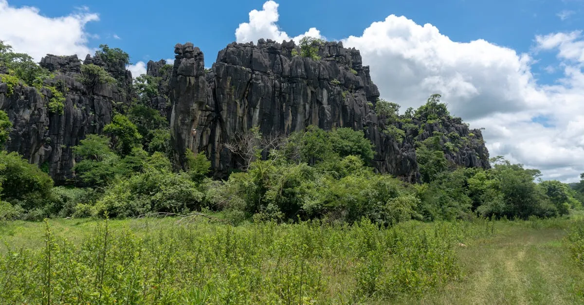 Descubra as Melhores Opções de Ecoturismo em Minas Gerais Descubra as Melhores Opções de Ecoturismo em Minas Gerais