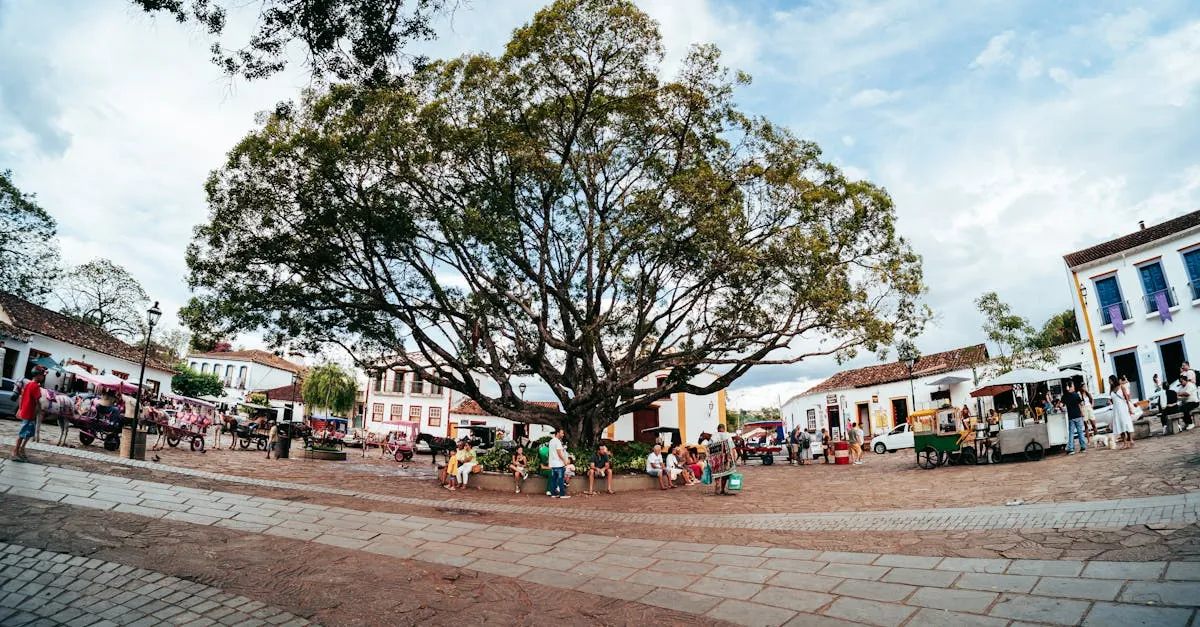 Descubra Como Planejar Uma Viagem Inesquecível Por Minas Gerais Descubra Como Planejar Uma Viagem Inesquecível Por Minas Gerais