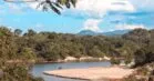 Descubra os Biomas e Fauna Fascinantes de Minas Gerais