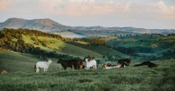 Descubra os melhores hotéis-fazenda em Minas Gerais
