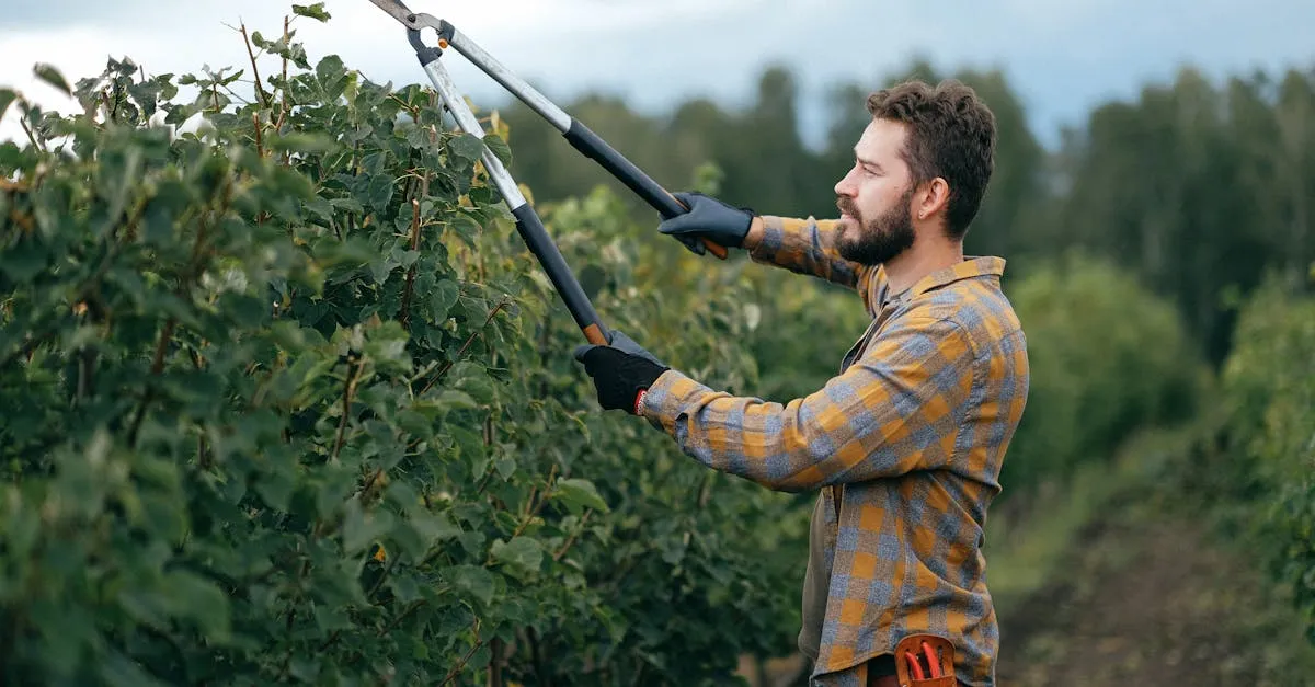 Descubra os Melhores Jardineiros em Minas Gerais Hoje! Descubra os Melhores Jardineiros em Minas Gerais Hoje!