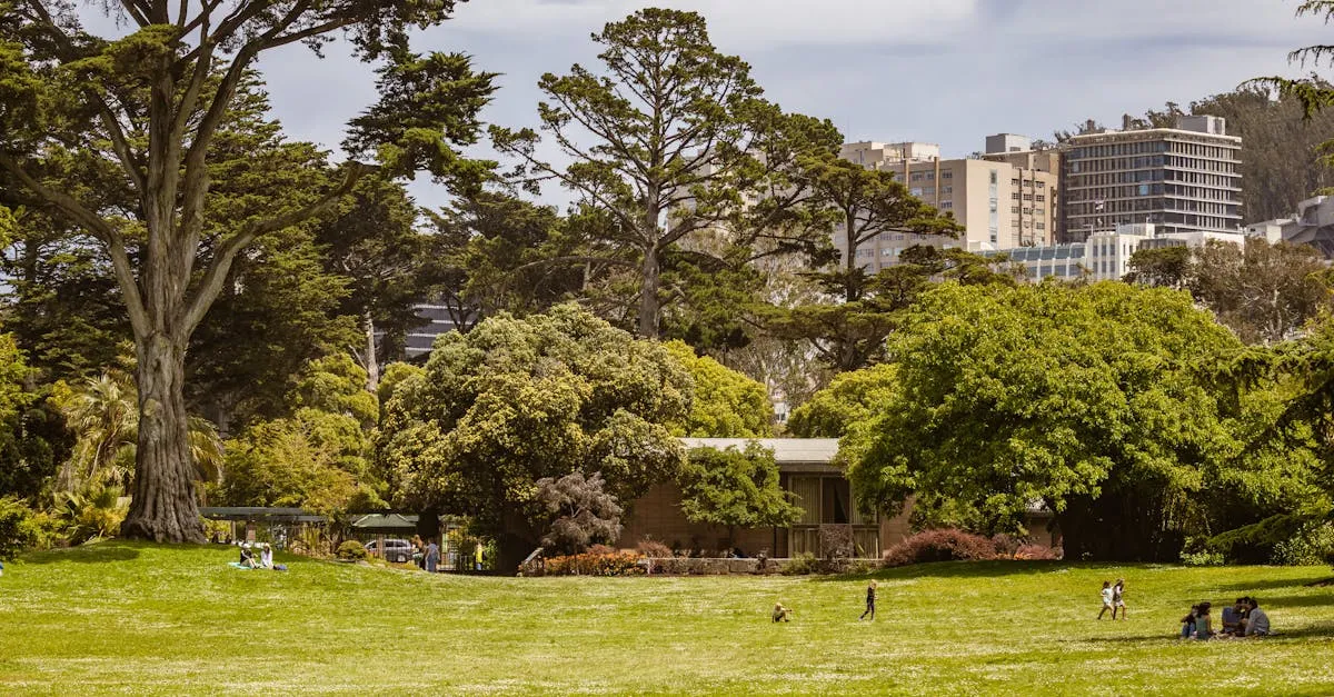 Descubra os Parques Mirantes em BH e Suas Vistas Incríveis Descubra os Parques Mirantes em BH e Suas Vistas Incríveis