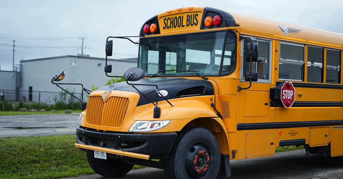 Os 5 Melhores Motoristas Para Transporte Escolar Em Minas Gerais